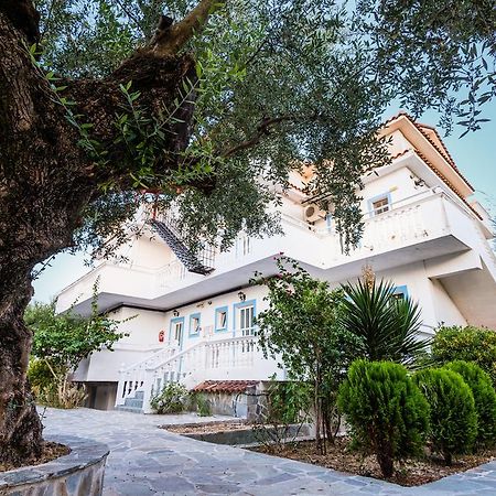 Tassos & Marios Apartments I Laganas Exteriér fotografie