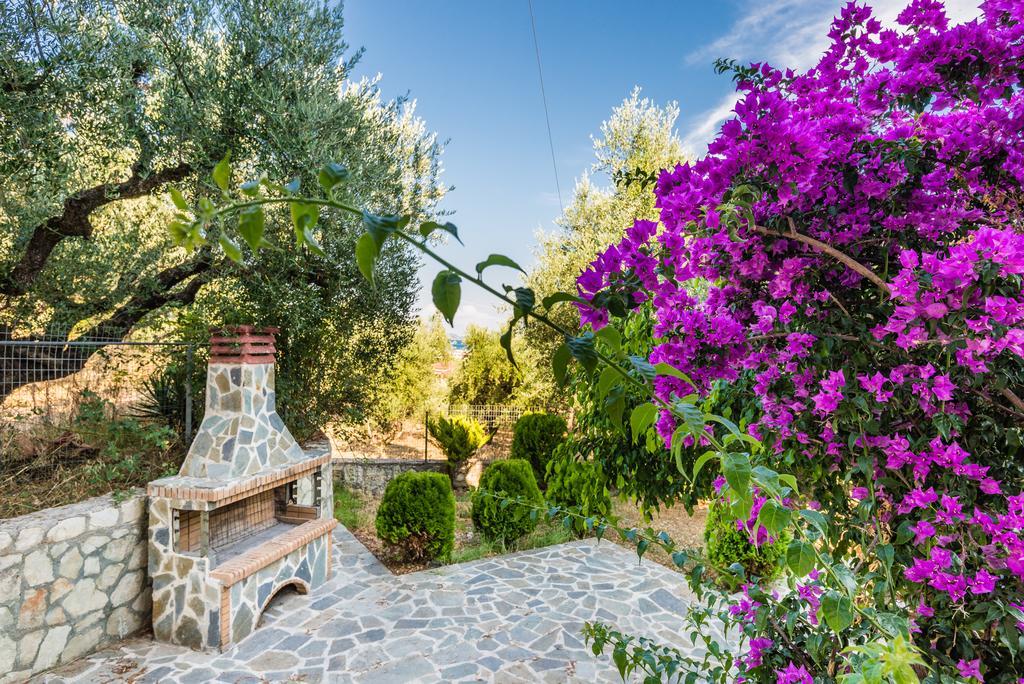 Tassos & Marios Apartments I Laganas Pokoj fotografie